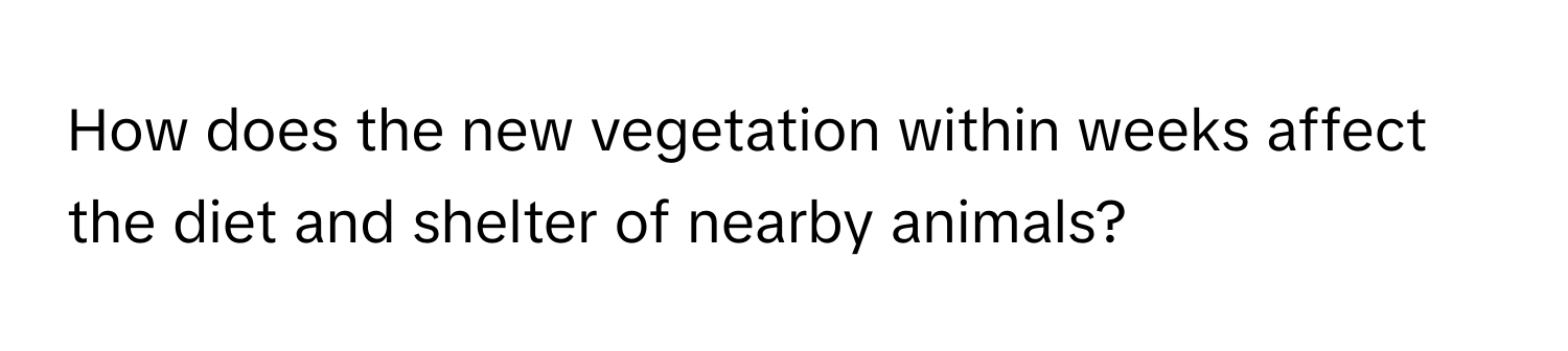 How does the new vegetation within weeks affect the diet and shelter of nearby animals?