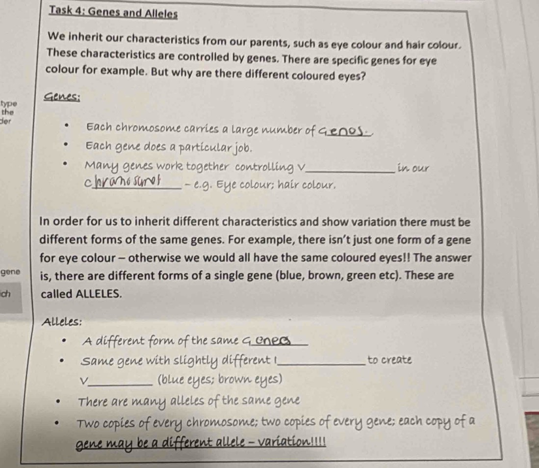 Task 4: Genes and Alleles 
We inherit our characteristics from our parents, such as eye colour and hair colour. 
These characteristics are controlled by genes. There are specific genes for eye 
colour for example. But why are there different coloured eyes? 
type Genes: 
the 
der Each chromosome carries a large number of G_ 
Each gene does a particular job. 
Many enes work together controlling v_ in our 
C 
_- e.g. Eye colour; hair colour. 
In order for us to inherit different characteristics and show variation there must be 
different forms of the same genes. For example, there isn’t just one form of a gene 
for eye colour - otherwise we would all have the same coloured eyes!! The answer 
gene is, there are different forms of a single gene (blue, brown, green etc). These are 
ch called ALLELES. 
Alleles: 
A different form of the same G _cnecs_ 
Same gene with slightly different I_ to create 
_(blue eyes; brown eyes) 
There are many alleles of the same gene 
copies of every chromosome; two copies of every 
fferent allele - variation!!!!