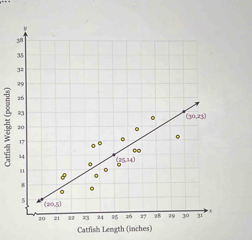 Catfish Length (inches)