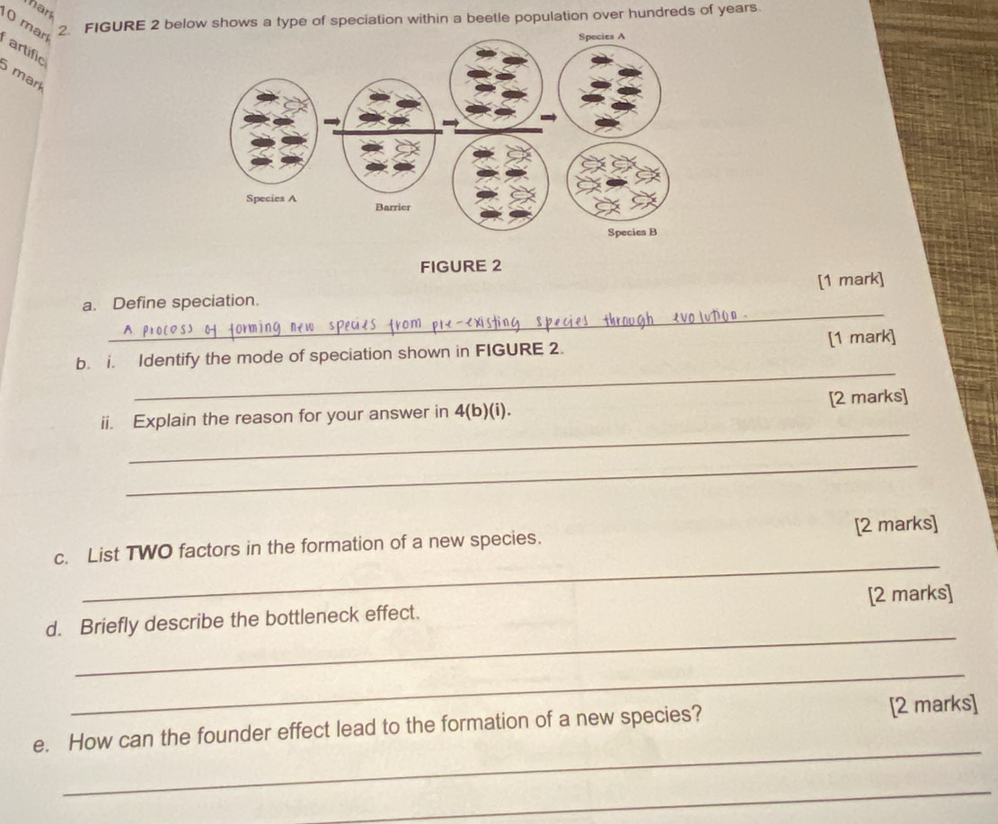 ar 
0 mar 2. FIGURE 2 below shows a type of speciation within a beetle population over hundreds of years. 
artific 
5 mark 
FIGURE 2 
_ 
a. Define speciation. [1 mark] 
_ 
b. i. Identify the mode of speciation shown in FIGURE 2. [1 mark] 
_ 
ii. Explain the reason for your answer in 4(b)(i). [2 marks] 
_ 
_ 
c. List TWO factors in the formation of a new species. [2 marks] 
_ 
d. Briefly describe the bottleneck effect. [2 marks] 
_ 
_ 
e. How can the founder effect lead to the formation of a new species? [2 marks] 
_