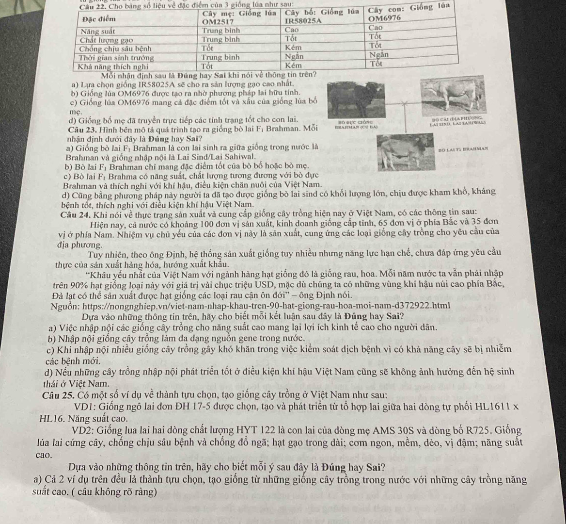 sau:
a) Lựa chọn giống IR58025A sẽ cho ra sản lượng gạo cao nhất.
b) Giống lúa OM6976 được tạo ra nhờ phương pháp lai hữu tính.
c) Giống lúa OM6976 mang cả đặc điểm tốt và xấu của giống lúa b
mẹ.
d) Giống bố mẹ đã truyền trực tiếp các tính trạng tốt cho con lai.
Câu 23. Hình bên mô tả quá trình tạo ra giống bò lai F_1 Brahman. Mỗ
nhận định dưới đây là Đúng hay Sai?
a) Giống bò lai F_1 Brahman là con lai sinh ra giữa giống trong nước l
Brahman và giống nhập nội là Lai Sind/Lai Sahiwal.
b) Bò lai F_1 Brahman chỉ mang đặc điểm tốt của bò bố hoặc bò mẹ.
c) Bò lai F_1 Brahma có năng suất, chất lượng tương đương với bò đự
Brahman và thích nghi với khí hậu, điều kiện chăn nuôi của Việt Nam.
d) Cũng bằng phương pháp này người ta đã tạo được giống bò lai sind có khối lượng lớn, chịu được kham khổ, kháng
bệnh tốt, thích nghi với điều kiện khí hậu Việt Nam.
Câu 24. Khi nói về thực trạng sản xuất và cung cấp giống cây trồng hiện nay ở Việt Nam, có các thông tin sau:
Hiện nay, cả nước có khoảng 100 đơn vị sản xuất, kinh doanh giống cấp tỉnh, 65 đơn vị ở phía Bắc và 35 đơn
vị ở phía Nam. Nhiệm vụ chủ yếu của các đơn vị này là sản xuất, cung ứng các loại giống cây trồng cho yêu cầu của
dịa phương.
Tuy nhiên, theo ông Định, hệ thống sản xuất giống tuy nhiều nhưng năng lực hạn chế, chưa đáp ứng yêu cầu
thực của sản xuất hàng hóa, hướng xuất khẩu.
“Khâu yếu nhất của Việt Nam với ngành hàng hạt giống đó là giống rau, hoa. Mỗi năm nước ta vẫn phải nhập
trên 90% hạt giống loại này với giá trị vài chục triệu USD, mặc dù chúng ta có những vùng khí hậu núi cao phía Bắc,
Đà lạt có thể sản xuất được hạt giống các loại rau cận ôn đới”' - ông Định nói.
Nguồn: https://nongnghiep.vn/viet-nam-nhap-khau-tren-90-hat-giong-rau-hoa-moi-nam-d372922.html
Dựa vào những thông tin trên, hãy cho biết mỗi kết luận sau đây là Đúng hay Sai?
a) Việc nhập nội các giống cây trồng cho năng suất cao mang lại lợi ích kinh tế cao cho người dân.
b) Nhập nội giống cây trồng làm đa dạng nguồn gene trong nước.
c) Khi nhập nội nhiều giống cây trồng gây khó khăn trong việc kiểm soát dịch bệnh vì có khả năng cây sẽ bị nhiễm
các bệnh mới.
d) Nếu những cây trồng nhập nội phát triển tốt ở điều kiện khí hậu Việt Nam cũng sẽ không ảnh hưởng đến hệ sinh
thái ở Việt Nam.
Câu 25. Có một số ví dụ về thành tựu chọn, tạo giống cây trồng ở Việt Nam như sau:
VD1: Giống ngô lai đơn ĐH 17-5 được chọn, tạo và phát triển từ tổ hợp lai giữa hai dòng tự phối HL1611 x
HL16. Năng suất cao.
VD2: Giống lua lai hai dòng chất lượng HYT 122 là con lai của dòng mẹ AMS 30S và dòng bố R725. Giống
lúa lai cứng cây, chống chịu sâu bệnh và chống đổ ngã; hạt gạo trong dài; cơm ngon, mềm, dẻo, vị đậm; năng suất
cao.
Dựa vào những thông tin trên, hãy cho biết mỗi ý sau đây là Đúng hay Sai?
a) Cả 2 ví dụ trên đều là thành tựu chọn, tạo giống từ những giống cây trồng trong nước với những cây trồng năng
suất cao. ( câu không rõ ràng)