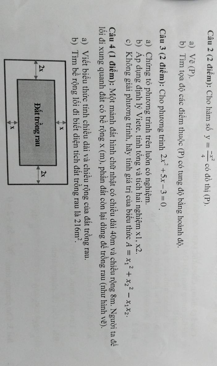 Cho hàm số y= (-x^2)/4  có đồ thị (P).
a) Vẽ (P).
b) Tìm tọa độ các điểm thuộc (P) có tung độ bằng hoành độ.
Câu 3 (2 điểm): Cho phương trình 2x^2+5x-3=0
a) Chứng tỏ phương trình trên luôn có nghiệm.
b) Áp dụng định lý Viete, tính tổng và tích hai nghiệm x1, x2.
c) Không giải phương trình, hãy tính giá trị của biểu thức A=x_1^(2+x_2^2-x_1)x_2.
Câu 4 (1 điểm): Một mảnh đất hình chữ nhật có chiều dài 40m và chiều rộng 8m. Người ta đề
lối đi xung quanh đất có bề rộng x (m), phần đất còn lại dùng để trồng rau (như hình vhat e ).
a) Viết biểu thức tính chiều dài và chiều rộng của đất trồng rau.
b) Tìm bề rộng lối đi biết diện tích đất trồng rau là 216m^2.