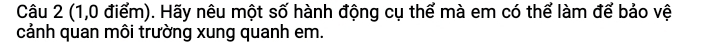 (1,0 điểm). Hãy nêu một số hành động cụ thể mà em có thể làm để bảo vệ 
cảnh quan môi trường xung quanh em.