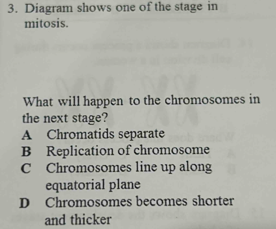 Diagram shows one of the stage in
mitosis.
What will happen to the chromosomes in
the next stage?
A Chromatids separate
B Replication of chromosome
C Chromosomes line up along
equatorial plane
D Chromosomes becomes shorter
and thicker