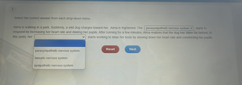 Select the correct answer from each drop-down menu.
Alma is walking in a park. Suddenly, a wild dog charges toward her. Alma is frightened. The parasympathetic nervous system 
respond by increasing her heart rate and dilating her pupils. After running for a few minutes, Alma realizes that the dog has fallen far behind. At starts to
this point, her starts working to relax her body by slowing down her heart rate and constricting her pupils
parasympathetic nervous system Reset Next
somatic nervous system
sympathetic nervous system