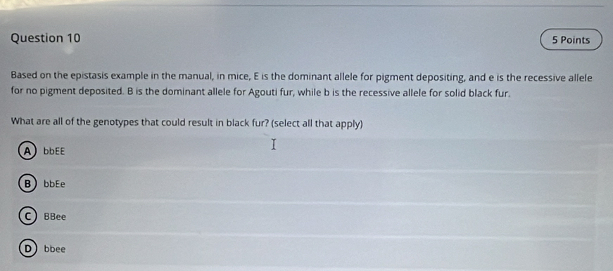 Based on the epistasis example in the manual, in mice, E is the dominant allele for pigment depositing, and e is the recessive allele
for no pigment deposited. B is the dominant allele for Agouti fur, while b is the recessive allele for solid black fur.
What are all of the genotypes that could result in black fur? (select all that apply)
A bbEE
BbbEe
C)BBee
D) bbee