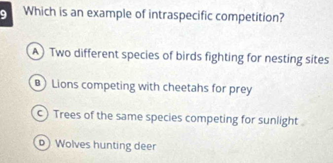 Which is an example of intraspecific competition?
A) Two different species of birds fighting for nesting sites
B) Lions competing with cheetahs for prey
c) Trees of the same species competing for sunlight
Wolves hunting deer