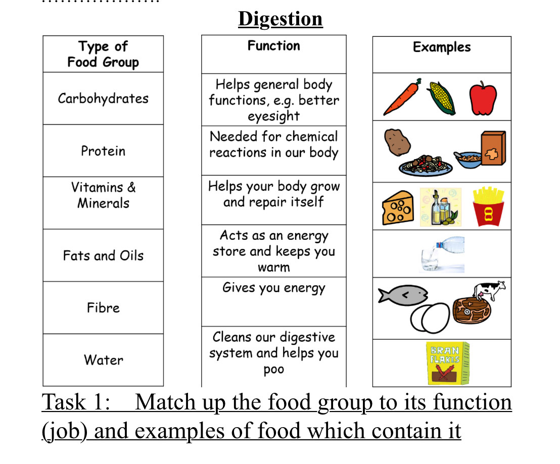 Digestion 





Task 1: Matc 
(job) and examples of food which contain it