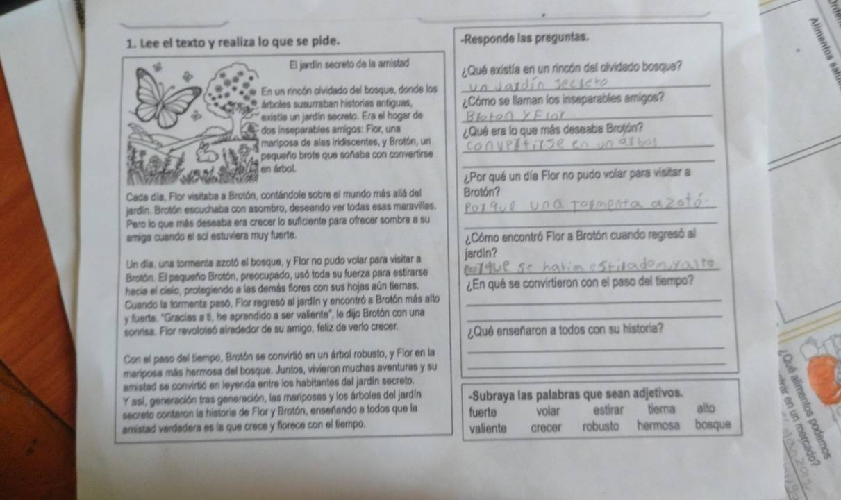 2
1. Lee el texto y realiza lo que se pide. -Responde las preguntas.
El jardín secreto de la amistad ¿Qué existía en un rincón del olvidado bosque?
En un rincón olvidado del bosque, donde los
_
árboles susurraban historias antiguas, ¿Cómo se llaman los inseparables amigos?
existla un jardín secreto. Era el hogar de_
dos inseparables amigos: Flor, una ¿Qué era lo que más deseaba Brojón?
mariposa de alas iridiscentes, y Brotón, un_
pequeño brote que soñaba con convertirse
en árbol.
_
¿Por qué un día Flor no pudo volar para visitar a
Cada día, Flor visitaba a Brotón, contándole sobre el mundo más allá del Brotón?
jardín. Brotón escuchaba con asombro, deseando ver todas esas maravillas_
Pero lo que más deseaba era crecer lo suficiente para ofrecer sombra a su_
amiga cuando el sol estuviera muy fuerte. ¿Cómo encontró Flor a Brotón cuando regresó al
Un día, una tormenta azotó el bosque, y Flor no pudo volar para visitar a jardín?
Brotón. El pequeño Brotón, preocupado, usó toda su fuerza para estirarse
_
hacia el cielo, protegiendo a las demás flores con sus hojas aún tiernas. ¿En qué se convirtieron con el paso del tiempo?
Cuando la formenta pasó, Flor regresó al jardín y encontró a Brotón más alto_
y fuerte. "Gracias a tí, he aprendido a ser valiente", le dijo Brotón con una_
sonrisa. Flor revoloteó alrededor de su amigo, feliz de verlo crecer. ¿Qué enseñaron a todos con su historia?
Con el paso del tiempo, Brotón se convirtió en un árbol robusto, y Flor en la_
_
mariposa más hermosa del bosque. Juntos, vivieron muchas aventuras y su
amistad se convirtió en leyenda entre los habitantes del jardín secreto.
Y así, generación tras generación, las mariposas y los árboles del jardín -Subraya las palabras que sean adjetivos.
secreto contaron la historia de Flor y Brotón, enseñando a todos que la fuerte volar estirar tierna alto
amistad verdadera es la que crece y florece con el tiempo. valiente crecer robusto hermosa bosque 58