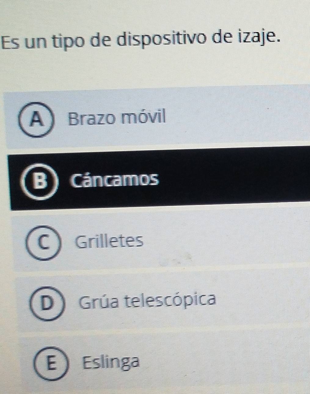 Es un tipo de dispositivo de izaje.
A) Brazo móvil
Cáncamos
Grilletes
Grúa telescópica
E Eslinga