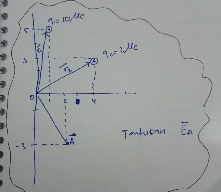 utan overline EA