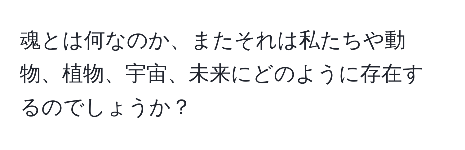 魂とは何なのか、またそれは私たちや動物、植物、宇宙、未来にどのように存在するのでしょうか？