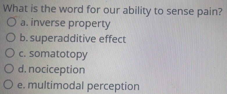 What is the word for our ability to sense pain?
a. inverse property
b. superadditive effect
c. somatotopy
d. nociception
e. multimodal perception