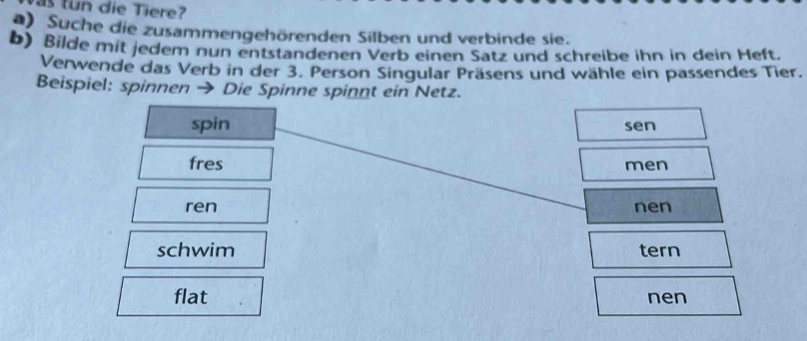 die iere 
a) Suche die zusammengehörenden Silben und verbinde sie. 
b) Bilde mit jedem nun entstandenen Verb einen Satz und schreibe ihn in dein Heft. 
Verwende das Verb in der 3. Person Singular Präsens und wähle ein passendes Tier. 
Beispiel: spinnen → Die Spinne spinnt ein Netz. 
spin sen 
fres men 
ren nen 
schwim tern 
flat nen