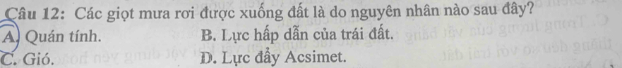 Các giọt mưa rơi được xuống đất là do nguyên nhân nào sau đây?
A. Quán tính. B. Lực hấp dẫn của trái đất.
C. Gió. D. Lực đẩy Acsimet.