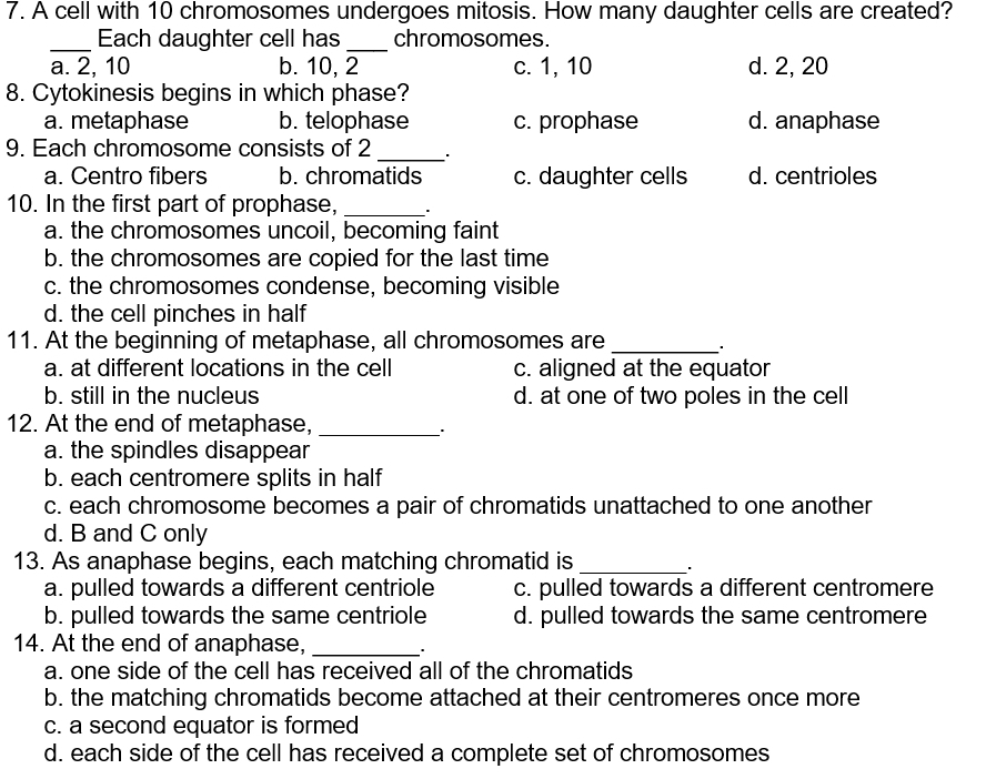 A cell with 10 chromosomes undergoes mitosis. How many daughter cells are created?
_
Each daughter cell has _chromosomes.
a. 2, 10 b. 10, 2 c. 1, 10 d. 2, 20
8. Cytokinesis begins in which phase?
a. metaphase b. telophase c. prophase d. anaphase
9. Each chromosome consists of 2 _.
a. Centro fibers b. chromatids c. daughter cells d. centrioles
10. In the first part of prophase,_
a. the chromosomes uncoil, becoming faint
b. the chromosomes are copied for the last time
c. the chromosomes condense, becoming visible
d. the cell pinches in half
11. At the beginning of metaphase, all chromosomes are_
a. at different locations in the cell c. aligned at the equator
b. still in the nucleus d. at one of two poles in the cell
12. At the end of metaphase,_
.
a. the spindles disappear
b. each centromere splits in half
c. each chromosome becomes a pair of chromatids unattached to one another
d. B and C only
13. As anaphase begins, each matching chromatid is _:
a. pulled towards a different centriole c. pulled towards a different centromere
b. pulled towards the same centriole d. pulled towards the same centromere
14. At the end of anaphase,_
a. one side of the cell has received all of the chromatids
b. the matching chromatids become attached at their centromeres once more
c. a second equator is formed
d. each side of the cell has received a complete set of chromosomes