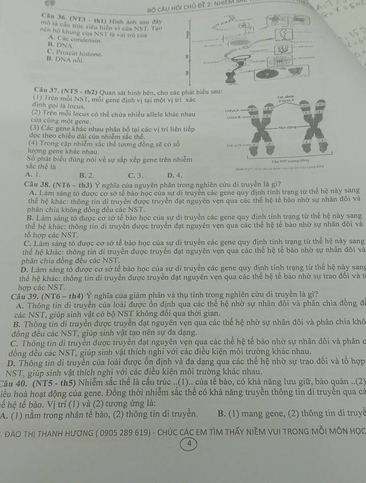 Bộ cầu hỏi chủ đề 2: nhiệm sĩc
Câu 36. (NT3 - th1) Hình ảnh sau đây
mô là cầu trục siêu hiện vì của NST. Tao
nén bộ khung của NST là vai trò của
A. Cac condensin.
B, DNA.
C. Protein histone.
B. DNA nổi.
Câu 37. (NT5 - th2) Quan sát hình bên, cho các phát biểu s
(1) Trên mỗi NST, mỗi gene định vị tại một vị trí xác
định gọi là locus,
(2) Trên mỗi locus có thẻ chứa nhiều allele khác nhau 
của cùng một gene.
(3) Các gene khác nhau phân bố tại các vị trí liên tiếp
đọc theo chiều dài của nhiễm sắc thể
(4) Trong cập nhiễm sắc thể tương đồng sẽ có số 
lượng gene khác nhau.
Số phát biểu đúng nói về sự sắp xếp gene trên nhiễm
sắc thể là
Bem 22, ln et caa ai game
A. 1. B. 2. C. 3. D. 4.
Câu 38. (NT6 - th3) Ý nghĩa của nguyên phân trong nghiên cứu di truyền là gi?
A. Làm sáng tỏ được cơ sở tế bảo học của sự di truyền các gene quy định tính trạng từ thế hệ này sang
thể hệ khác: thông tin di truyền được truyền đạt nguyên vẹn qua các thế hệ tế bảo nhờ sự nhân đôi và
phân chia không đồng đều các NST.
B. Làm sáng tỏ được cơ sở tế bào học của sự di truyền các gene quy định tính trạng từ thế hệ này sang
thể hệ khác: thông tin di truyền được truyền đạt nguyên vẹn qua các thế hệ tế bào nhờ sự nhân đôi và
tổ hợp các NST.
C. Làm sáng tỏ được cơ sở tế bào học của sự di truyền các gene quy định tính trạng từ thế hệ này sang
thể hệ khác: thông tin di truyền được truyền đạt nguyên vẹn qua các thể hệ tế bào nhờ sự nhân đôi và
phân chia đồng đều các NST.
D. Làm sáng tỏ được cơ sở tế bào học của sự di truyền các gene quy định tính trạng từ thể hệ này sang
thế hệ khác: thông tin di truyền được truyền đạt nguyên vẹn qua các thế hệ tế bảo nhờ sự trao đổi và t
hợp các NST.
Câu 39. (NT6 - th4) Ý nghĩa của giảm phân và thụ tinh trong nghiên cứu di truyền là gi?
A. Thông tin di truyền của loài được ổn định qua các thế hệ nhờ sự nhân đôi và phân chia đồng đó
các NST, giúp sinh vật có bộ NST không đổi qua thời gian.
B. Thông tin di truyền được truyền đạt nguyên vẹn qua các thế hệ nhờ sự nhân đôi và phân chia khô
đồng đều các NST, giúp sinh vật tạo nên sự đa dạng.
C. Thông tin di truyền được truyền đạt nguyên vẹn qua các thế hệ tế bào nhờ sự nhân đôi và phân c
đồng đều các NST, giúp sinh vật thích nghi với các điều kiện môi trường khác nhau.
D. Thông tin di truyền của loài được ổn định và đa dạng qua các thế hệ nhờ sự trao đổi và tổ hợp
NST, giúp sinh vật thích nghị với các điều kiện môi trường khác nhau.
Câu 40. (NT5 - th5) Nhiễm sắc thể là cầu trúc ..(1).. của tế bào, có khả năng lưu giữ, bảo quản ..(2)
hiều hoà hoạt động của gene. Đồng thời nhiễm sắc thể có khả năng truyền thông tin di truyền qua cá
hế hệ tế bào. Vị trí (1) và (2) tương ứng là:
A. (1) nằm trong nhân tế bào, (2) thông tin di truyền. B. (1) mang gene, (2) thông tin di truyề
T. ĐàO THị THANH HƯơNG ( 0905 289 619) - CHÚC CÁC EM TÌM tHấy niềM VUI tROnG MỗI MÔN Học
4