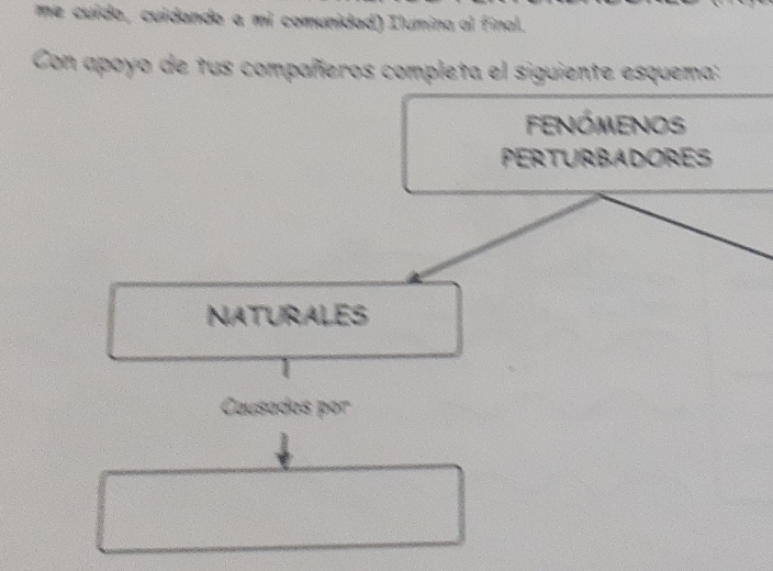 me cuído, cuidando a mi comunidad) Ilumina al final. 
Con apoyo de tus compañeros completa el siguiente esquema: 
FenÓmenos 
PerTUrBADOrES 
NATURALES 
Causados por