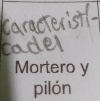 Mortero y 
pilón