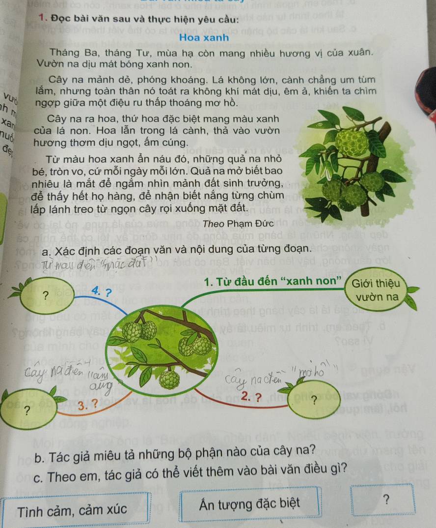 Đọc bài văn sau và thực hiện yêu cầu: 
Hoa xanh 
Tháng Ba, tháng Tư, mùa hạ còn mang nhiều hương vị của xuân. 
Vườn na dịu mát bóng xanh non. 
Cây na mảnh dẻ, phóng khoáng. Lá không lớn, cành chẳng um tùm 
lằm, nhưng toàn thân nó toát ra không khí mát dịu, êm ả, khiến ta chìm 
VLPÖ ngợp giữa một điệu ru thấp thoáng mơ hồ.
h m
x a
Cây na ra hoa, thứ hoa đặc biệt mang màu xanh 
nuổ 
của lá non. Hoa lẫn trong lá cành, thả vào vườn 
đệ hương thơm dịu ngọt, ấm cúng. 
Từ màu hoa xanh ẫn náu đó, những quả na nhỏ 
bé, tròn vo, cứ mỗi ngày mỗi lớn. Quả na mở biết bao 
nhiêu là mắt đễ ngắm nhìn mảnh đất sinh trưởng, 
đễ thấy hết họ hàng, để nhận biết nắng từng chùm 
ấp lánh treo từ ngọn cây rọi xuống mặt đất. 
Theo Phạm Đức 
a. Xác định các đoạn văn và nội dung của từng đoạn. 
b. Tác giả miêu tả những bộ phận nào của cây na? 
c. Theo em, tác giả có thể viết thêm vào bài văn điều gì? 
Tình cảm, cảm xúc Án tượng đặc biệt ?