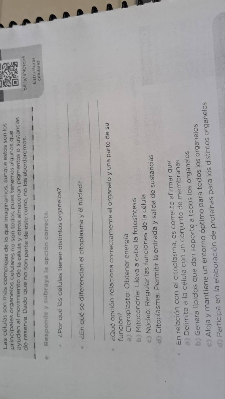 Las células son más complejas de lo que imaginamos, aunque estos son los
principales organelos celulares no son todos, pues tenemos algunos que
ayudan al movimiento de la célula y otros almacenan pigmentos o sustancias
de reserva. Dado que no son parte de este curso, no los abordaremos. bit.ly/3M0sqa6
Estructuras
celulares
Responde y subraya la opción correcta.
_
¿Por qué las células tienen distintos organelos?
_
¿En qué se diferencian el citoplasma y el núcleo?
_
¿Qué opción relaciona correctamente el organelo y una parte de su
función?
a) Cloroplasto: Obtener energía
b Mitocondria: Lleva a cabo la fotosíntesis
c) Núcleo: Regular las funciones de la célula
d》 Citoplasma: Permitir la entrada y salida de sustancias
En relación con el citoplasma, es correcto afirmar que:
a) Delimita a la célula con un conjunto de membranas
b) Genera lípidos que dan soporte a todos los organelos
c》 Aloja y mantiene un entorno óptimo para todos los organelos
de Participa en la elaboración de proteínas para los distintos organelos