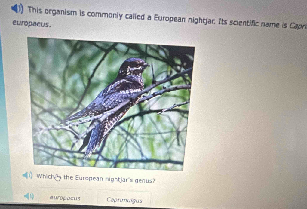 Solved: This organism is commonly called a European nightjar. Its ...
