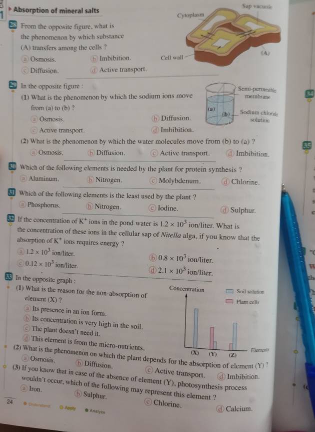 ) Absorption of mineral salts
` From the opposite figure, what is
the phenomenon by which substance
(A) transfers among the cells ?
Osmosis. ⑤ Imbibition.
Diffusion. Active transport.
In the opposite figure :
Semi-permeable
(1) What is the phenomenon by which the sodium ions move membrane
from (a) to (b) ? (a) Sodium chlorde
Osmosis. h Diffusion. (b)
solution
Active transport. Imbibition.
(2) What is the phenomenon by which the water molecules move from (b) to (a) ?
Osmosis. Diffusion. Active transport. ① Imbibition.
S Which of the following elements is needed by the plant for protein synthesis ?
# Aluminum. Nitrogen. Molybdenum. ⊥ Chlorine.
Which of the following elements is the least used by the plant ?
Phosphorus. ⓗ Nitrogen. © Iodine. ④ Sulphur.
If the concentration of K* ions in the pond water is 1.2* 10^3 ion/liter. What is
the concentration of these ions in the cellular sap of Nitella alga, if you know that the
absorption of K* ions requires energy ?
1.2* 10^3 ion/liter. ion/liter.
h 0.8* 10^3
0.12* 10^3 ion/liter. ④ 2.1* 10^3 ion/liter.
In the opposite graph : 
(1) What is the reason for the non-absorption of
element (X) ? 
Its presence in an ion form.
Its concentration is very high in the soil.
The plant doesn't need it.
This element is from the micro-nutrients.
(2) What is the phenomenon on which the plant depends for the absorption of element (Y)
⊥Osmosis. ⓑ Diffusion. Active transport. d Imbibition
(3) If you know that in case of the absence of element (Y), photosynthesis process
wouldn't occur, which of the following may represent this element ?
③Iron.
⑤ Sulphur. Chlorine.
24 Diterstandt G Astr ●Analyce
Calcium