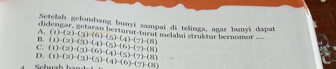 Setelah gelombang bunyi sampai di telinga, agar bunyi dapat
A.
didengar, getaran berturut-turut melalui struktur bernomor ...
B. (1)-(2)-(3)-(6)-(5)-(4)-(7)-(8)
C.
D. (1)-(2)-(3)-(6)-(4)-(5)-(7)-(8) (1)-(2)-(3)-(4)-(5)-(6)-(7)-(8)
4 Scbuah band (1)-(2)-(3)-(5)-(4)-(6)-(7)-(8)