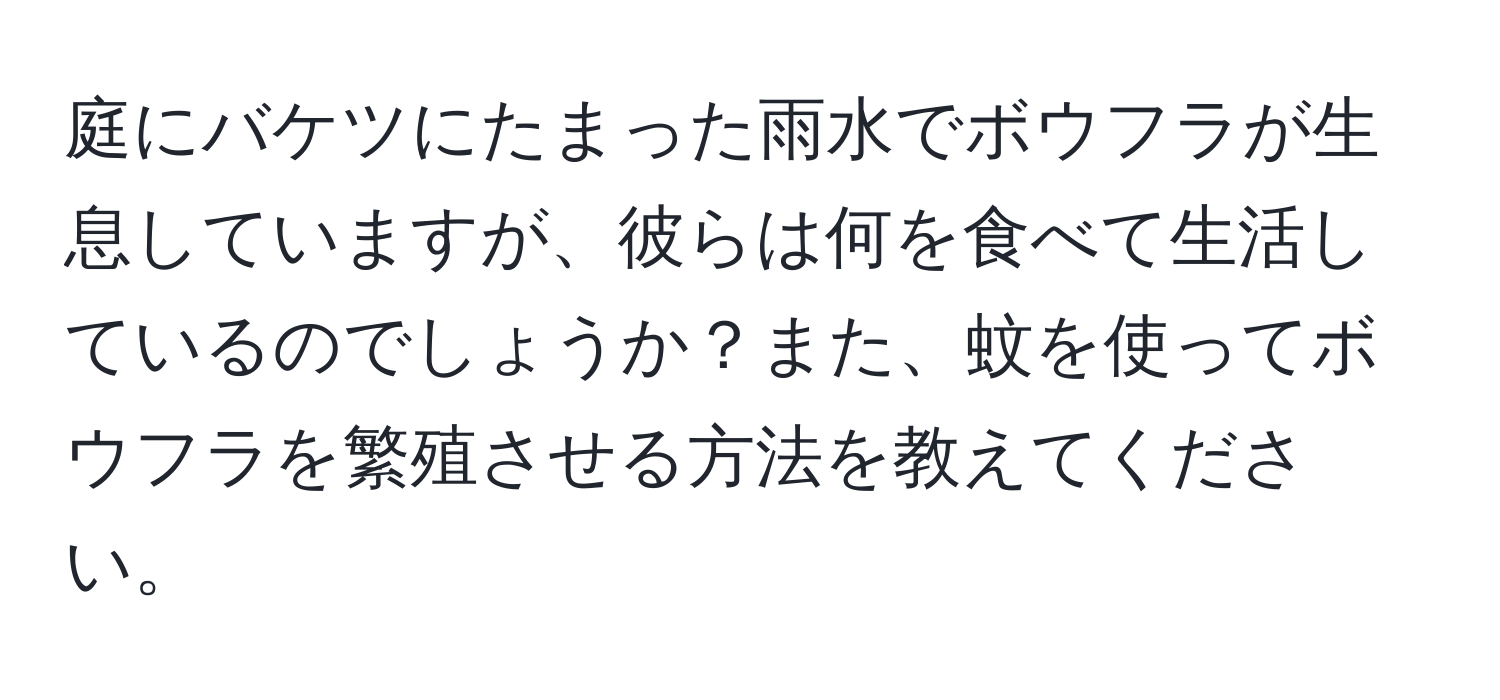 庭にバケツにたまった雨水でボウフラが生息していますが、彼らは何を食べて生活しているのでしょうか？また、蚊を使ってボウフラを繁殖させる方法を教えてください。