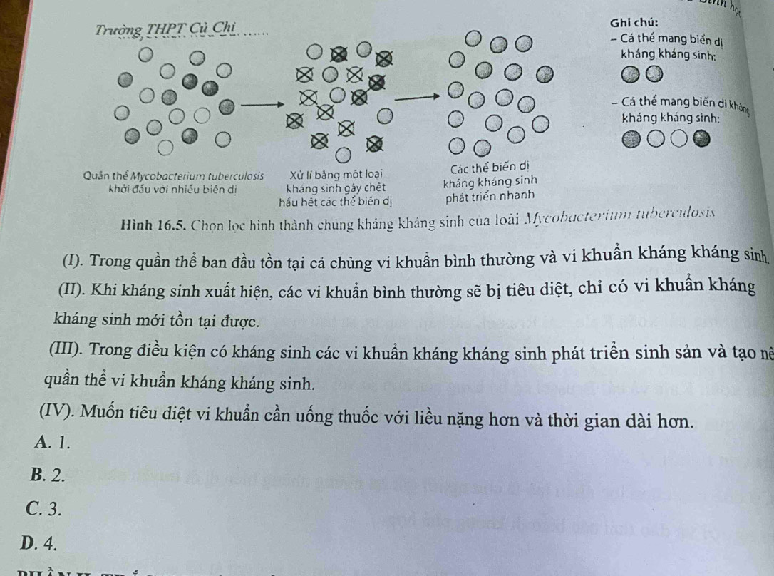 Trường THPT Củ Chi Ghi chú:
Cá thế mang biển dị
kháng kháng sinh:
- Cá thể mang biến dị không
kháng kháng sinh:
Quân thể Mycobacterium tuberculosis Xử lí bằng một loại Các thể biến di
khởi đấu với nhiều biên dị kháng sinh gảy chết kháng kháng sinh
hầu hệt các thể biên dị phát triển nhanh
Hình 16.5. Chọn lọc hình thành chúng khảng kháng sinh của loài Mycobacterium tuberculosis
(I). Trong quần thể ban đầu tồn tại cả chủng vi khuần bình thường và vi khuần kháng kháng sinh
(II). Khi kháng sinh xuất hiện, các vi khuẩn bình thường sẽ bị tiêu diệt, chỉ có vi khuẩn kháng
kháng sinh mới tồn tại được.
(III). Trong điều kiện có kháng sinh các vi khuần kháng kháng sinh phát triển sinh sản và tạo nệ
quần thể vi khuẩn kháng kháng sinh.
(IV). Muốn tiêu diệt vi khuẩn cần uống thuốc với liều nặng hơn và thời gian dài hơn.
A. 1.
B. 2.
C. 3.
D. 4.