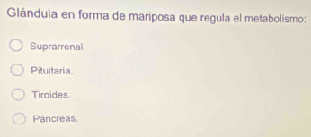 Glándula en forma de mariposa que regula el metabolismo:
Suprarrenal
Pituitaria.
Tiroides
Páncreas.