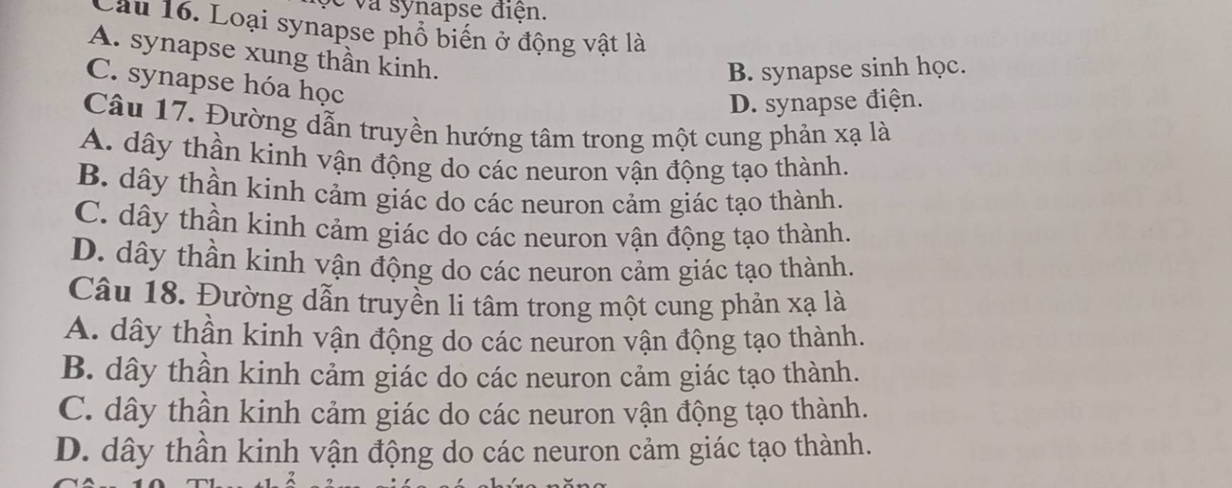 a synapse điện.
Cau 16. Loại synapse phổ biến ở động vật là
A. synapse xung thần kinh.
B. synapse sinh học.
C. synapse hóa học
D. synapse điện.
Câu 17. Đường dẫn truyền hướng tâm trong một cung phản xạ là
A. dây thần kinh vận động do các neuron vận động tạo thành.
B. dây thần kinh cảm giác do các neuron cảm giác tạo thành.
C. dây thần kinh cảm giác do các neuron vận động tạo thành.
D. dây thần kinh vận động do các neuron cảm giác tạo thành.
Câu 18. Đường dẫn truyền li tâm trong một cung phản xạ là
A. dây thần kinh vận động do các neuron vận động tạo thành.
B. dây thần kinh cảm giác do các neuron cảm giác tạo thành.
C. dây thần kinh cảm giác do các neuron vận động tạo thành.
D. dây thần kinh vận động do các neuron cảm giác tạo thành.