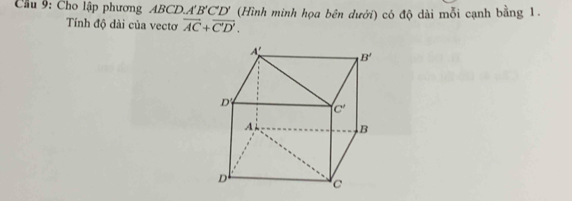 Cầu 9: Cho lập phương ABCD.. A'B'C'D' (Hình minh họa bên dưới) có độ dài mỗi cạnh bằng 1.
Tính độ dài của vectơ vector AC+vector C'D'.