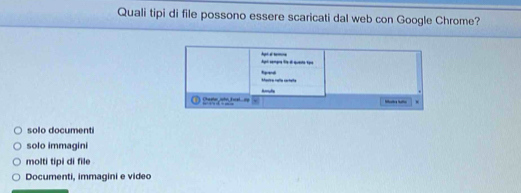 Quali tipi di file possono essere scaricati dal web con Google Chrome?
Agt sempre fe dl queta tạo Apr e ea
Mastre rella cartela t pand
Cha shr John fialog — — 
__ .
solo documenti
solo immagini
molti tipi di file
Documenti, immagini e video