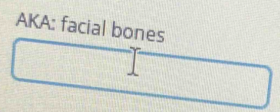 AKA: facial bones