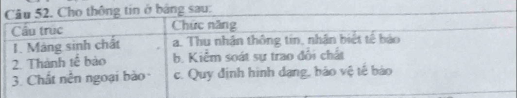 tin ở bằng sau: