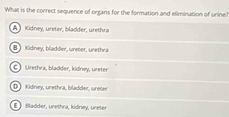 What is the correct sequence of organs for the formation and elimination of urine?
A Kidney, ureter, bladder, urethra
B Kidney, bladder, ureter, urethra
CUrethra, bladder, kidney, ureter
D Kidney, urethra, bladder, ureter
E  Bladder, urethra, kidney, ureter