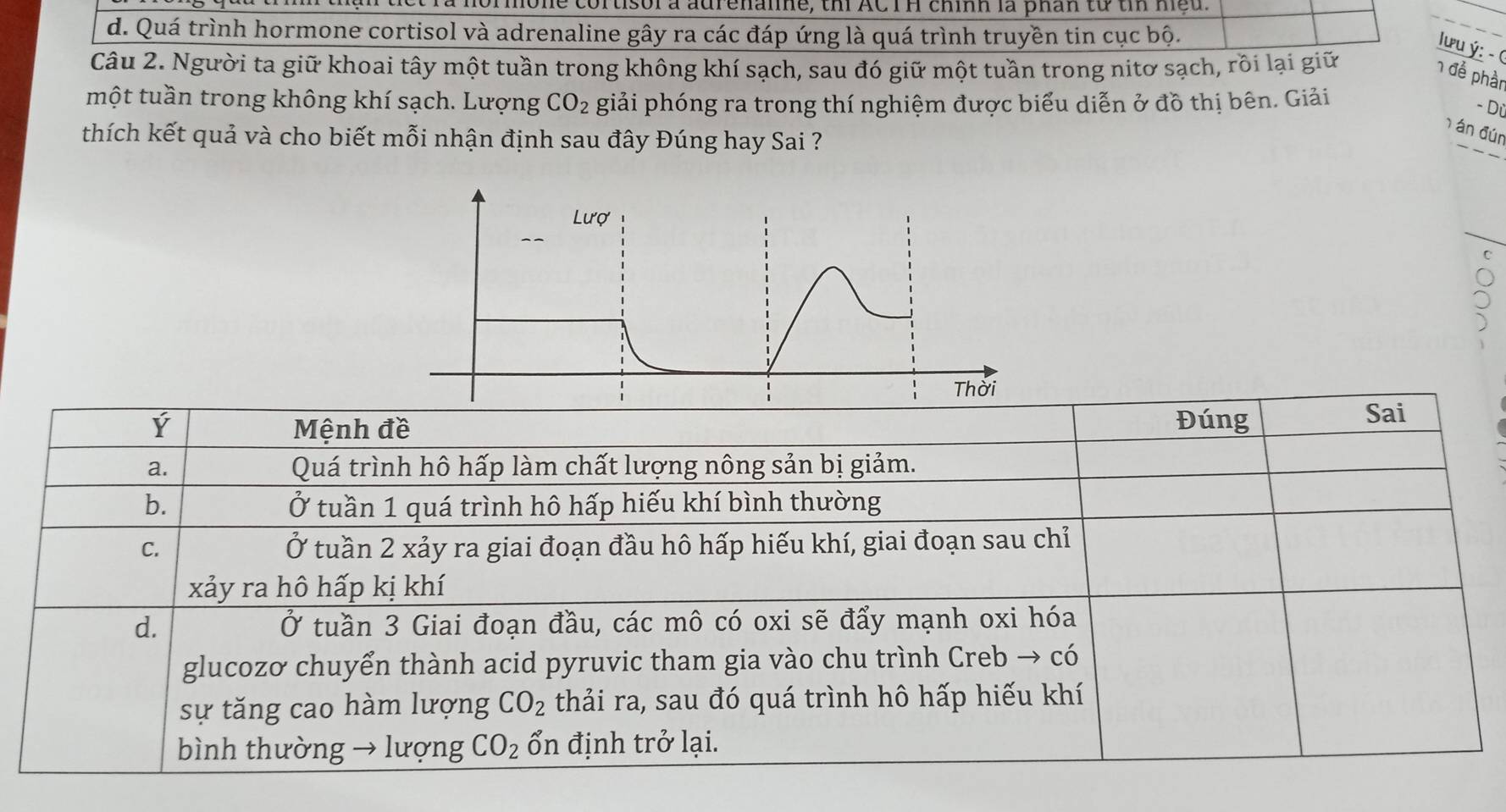 he cortisora aurenane, th ACI H chính là phân từ t me u 
d. Quá trình hormone cortisol và adrenaline gây ra các đáp ứng là quá trình truyền tin cục bộ.
Ilưu ý: - (
Câu 2. Người ta giữ khoai tây một tuần trong không khí sạch, sau đó giữ một tuần trong nitơ sạch, rôi lại giữ
1 để phần
một tuần trong không khí sạch. Lượng CO_2 giải phóng ra trong thí nghiệm được biểu diễn ở đồ thị bên. Giải
- Dữ
thích kết quả và cho biết mỗi nhận định sau đây Đúng hay Sai ?
án đún
Ý Mệnh đề Đúng
Sai
a. Quá trình hô hấp làm chất lượng nông sản bị giảm.
b. Ở tuần 1 quá trình hô hấp hiếu khí bình thường
C. Ở tuần 2 xảy ra giai đoạn đầu hô hấp hiếu khí, giai đoạn sau chỉ
xảy ra hô hấp kị khí
d. Ở tuần 3 Giai đoạn đầu, các mô có oxi sẽ đẩy mạnh oxi hóa
glucozơ chuyển thành acid pyruvic tham gia vào chu trình Creb → có
sự tăng cao hàm lượng CO_2 thải ra, sau đó quá trình hô hấp hiếu khí
bình thường → lượng CO_2 ổn định trở lại.