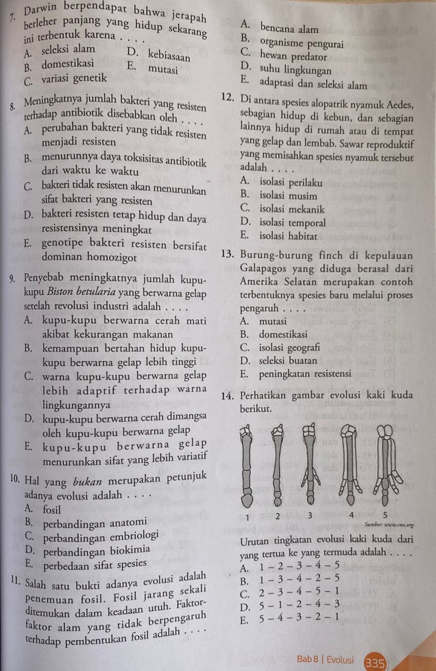 Darwin berpendapat bahwa jerapah A. bencana alam
berleher panjang yang hidup sekarang B. organisme pengurai
ini terbentuk karena . . .
C. hewan predator
A. seleksi alam D. kebiasaan D. suhu lingkungan
B. domestikasi E. mutasi
C. variasi genetik
E. adaptasi dan seleksi alam
12. Di antara spesies alopatrik nyamuk Aedes,
8、Meningkatnya jumlah bakteri yang resisten sebagian hidup di kebun, dan sebagian
terhadap antibiotik disebabkan oleh . . ' lainnya hidup di rumah atau di tempat
A. perubahan bakteri yang tidak resisten yang gelap dan lembab. Sawar reproduktif
menjadi resisten
yang memisahkan spesies nyamuk tersebut
B. menurunnya daya toksisitas antibiotik adalah . .
dari waktu ke waktu A. isolasi perilaku
C. bakteri tidak resisten akan menurunkan B. isolasi musim
sifat bakteri yang resisten C. isolasi mekanik
D. bakteri resisten tetap hidup dan daya D. isolasi temporal
resistensinya meningkat E. isolasi habitat
E. genotipe bakteri resisten bersifat
dominan homozigot 13. Burung-burung finch di kepulauan
Galapagos yang diduga berasal dari
9. Penyebab meningkatnya jumlah kupu- Amerika Selatan merupakan contoh
kupu Biston betularia yang berwarna gelap terbentuknya spesies baru melalui proses
setelah revolusi industri adalah . . . . pengaruh . . . .
A. kupu-kupu berwarna cerah mati A. mutasi
akibat kekurangan makanan B. domestikasi
B. kemampuan bertahan hidup kupu- C. isolasi geograf
kupu berwarna gelap lebih tinggi D. seleksi buatan
C. warna kupu-kupu berwarna gelap E. peningkatan resistensi
lebih adaptif terhadap warna 14. Perhatikan gambar evolusi kaki kuda
lingkungannya
D. kupu-kupu berwarna cerah dimangsa berikut.
oleh kupu-kupu berwarna gelap
E. kupu-kupu berwarna gelap
menurunkan sifat yang lebih variatif
10. Hal yang bukan merupakan petunjuk
adanya evolusi adalah . . . .
A. fosil 
B. perbandingan anatomi
C. perbandingan embriologi Urutan tingkatan evolusi kaki kuda dari
D. perbandingan biokimia
E. perbedaan sifat spesies yang tertua ke yang termuda adalah . . . .
A. 1-2-3-4-5
11. Salah satu bukti adanya evolusi adalah B. 1-3-4-2-
penemuan fosil. Fosil jarang sekali C. 2-3-4-5-
ditemukan dalam keadaan utuh. Faktor- D. 5-1-2-4-3
faktor alam yang tidak berpengaruh E. 5-4-3-2-1
terhadap pembentukan fosil adalah . . . .
Bab 8 | Evolusi 335