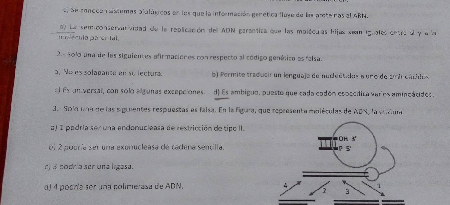 c) Se conocen sistemas biológicos en los que la información genética fluye de las proteínas al ARN.
d) La semiconservatividad de la replicación del ADN garantiza que las moléculas hijas sean iguales entre sí y a la
molécula parental.
2.- Solo una de las siguientes afirmaciones con respecto al código genético es falsa.
a) No es solapante en su lectura. b) Permite traducir un lenguaje de nucleótidos a uno de aminoácidos.
c) Es universal, con solo algunas excepciones. d) Es ambiguo, puesto que cada codón especifica varios aminoácidos.
3.- Solo una de las siguientes respuestas es falsa. En la figura, que representa moléculas de ADN, la enzima
a) 1 podría ser una endonucleasa de restricción de tipo II.
b) 2 podría ser una exonucleasa de cadena sencilla.
c) 3 podría ser una ligasa.
d) 4 podría ser una polimerasa de ADN.