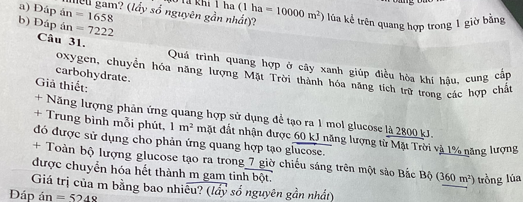 Ở Tả khi 1 ha (1 h ha 
leu gam? (lấy số nguyên gần nhất)? 
a) Đáp án =1658 =10000m^2) lúu kể trên quang hợp trong 1 giờ bằng 
b) Đáp án =7222
Câu 31. 
Quá trình quang hợp ở cây xanh giúp điều hòa khí hậu, cung cấp 
oxygen, chuyển hóa năng lượng Mặt Trời thành hóa năng tích trữ trong các hợp chất 
carbohydrate. 
Giả thiết: 
+ Năng lượng phản ứng quang hợp sử dụng đề tạo ra 1 mol glucose là 2800 kJ. 
+ Trung bình mỗi phút, 1m^2 mặt đất nhận được 60 kJ năng lượng từ Mặt Trời và 1% năng lượng 
đó được sử dụng cho phản ứng quang hợp tạo glucose. 
+ Toàn bộ lượng glucose tạo ra trong 7 giờ chiếu sáng trên một sào Bắc Bộ (360m^2) trồng lúa 
được chuyển hóa hết thành m gam tinh bột. 
Giá trị của m bằng bao nhiêu? (lấỷ số nguyên gần nhất) 
Đáp á n=5248