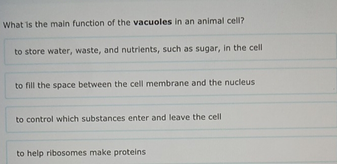 What is the main function of the vacuoles in an animal cell?
to store water, waste, and nutrients, such as sugar, in the cell
to fill the space between the cell membrane and the nucleus
to control which substances enter and leave the cell
to help ribosomes make proteins