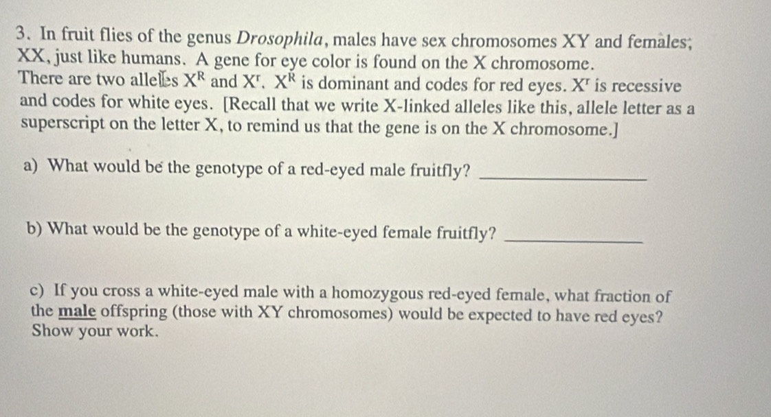 In fruit flies of the genus Drosophila, males have sex chromosomes XY and females; 
XX, just like humans. A gene for eye color is found on the X chromosome. 
There are two alles X^R and X^r.X^R is dominant and codes for red eyes. X ' is recessive 
and codes for white eyes. [Recall that we write X -linked alleles like this, allele letter as a 
superscript on the letter X, to remind us that the gene is on the X chromosome.] 
a) What would be the genotype of a red-eyed male fruitfly?_ 
b) What would be the genotype of a white-eyed female fruitfly?_ 
c) If you cross a white-eyed male with a homozygous red-eyed female, what fraction of 
the male offspring (those with XY chromosomes) would be expected to have red eyes? 
Show your work.