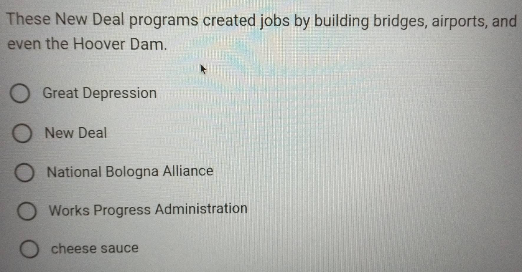 These New Deal programs created jobs by building bridges, airports, and
even the Hoover Dam.
Great Depression
New Deal
National Bologna Alliance
Works Progress Administration
cheese sauce