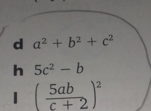 ( 5ab/c+2 )^2