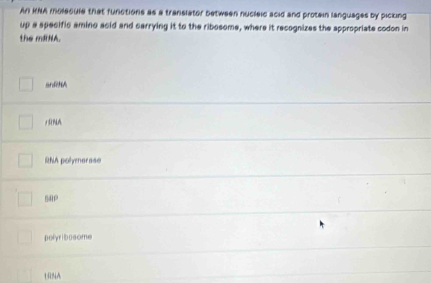 An KNA molecule that functions as a translator between nucleic acid and protein languages by picking
up a specific amino asid and carrying it to the ribosome, where it recognizes the appropriate codon in
the mRNA.
anRNA
rRNA
RNA polymerase
5RP
polyribosome
LRNA