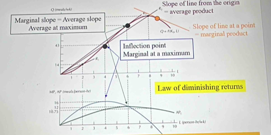 (meals/wk) R_1 Slope of line from the origin 
= average product 
Marginal slope = Average slope 
Average at maximum Slope of line at a point
Q=r(x_0,L) = marginal product 
43 
Inflection point
R_1 Marginal at a maximum
14
1 . 2 3 4 5 6 7 B 9 10
MP. AP (meals/person-hr) Law of diminishing returns
16
12
10.75 AP_1
1 2 3 4 5 6 7 8 9 10 L (person-hr/wk)