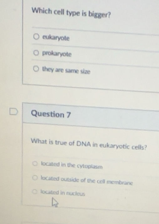 Solved: Which cell type is bigger? eukaryote prokaryote they are same ...