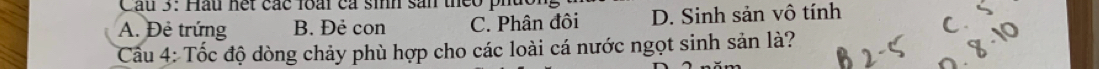 Hầu hết các loài cá sinh sản theo phức
A. Đẻ trứng B. Đẻ con C. Phân đôi D. Sinh sản vô tính C、 
Cầu 4: Tốc độ dòng chảy phù hợp cho các loài cá nước ngọt sinh sản là?