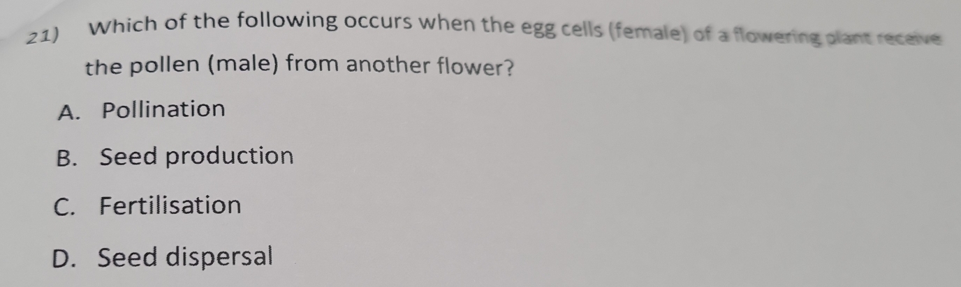 Which of the following occurs when the egg cells (female) of a flowering plant receive
the pollen (male) from another flower?
A. Pollination
B. Seed production
C. Fertilisation
D. Seed dispersal